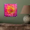 Roze - Dahlia - Kleurrijk plexiglas 5mm klein -sfeer3