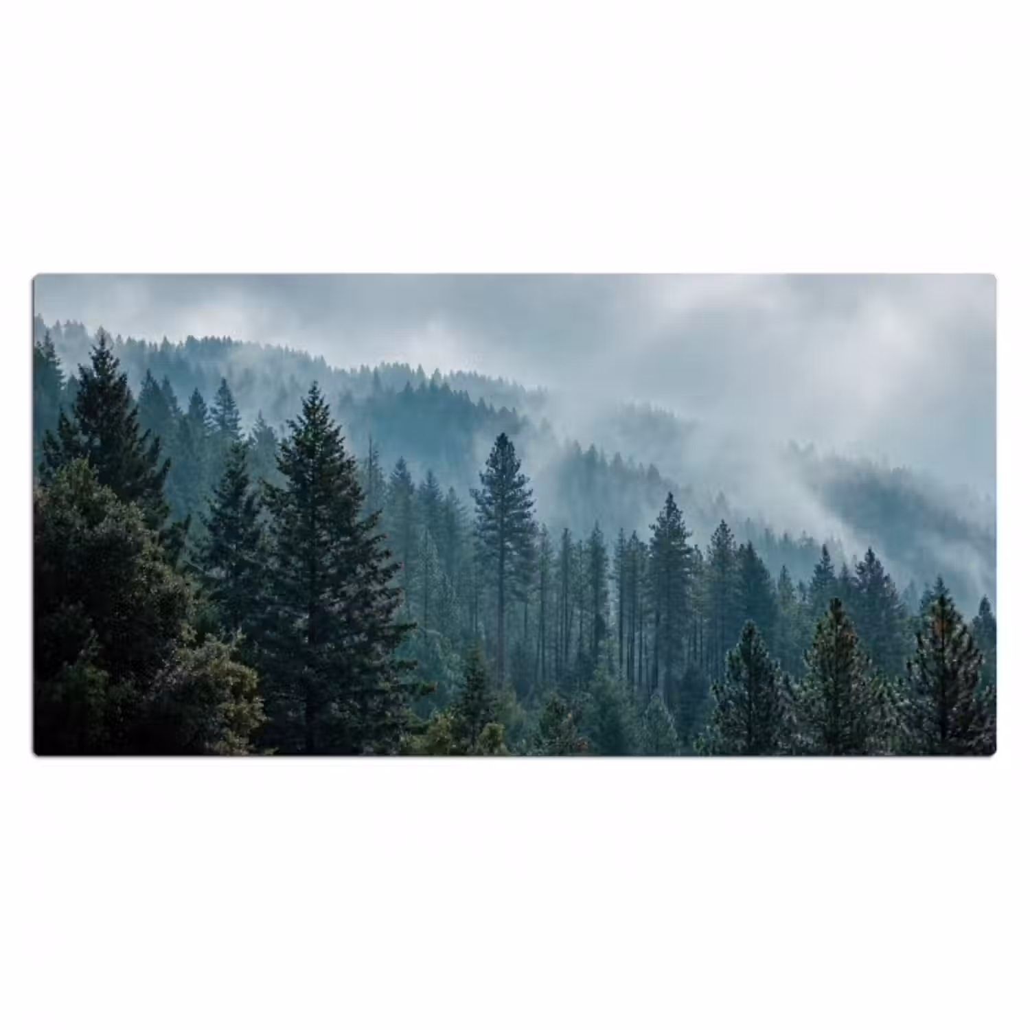 Schreibtischunterlage - Naaldwoud - Bergen - Nebel