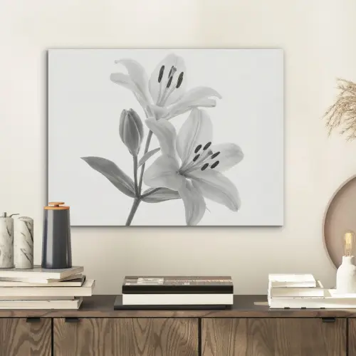 Lelies - Elegant - Zwart - Wit PET vilt klein -sfeer1