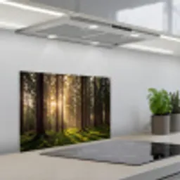 Bos - Gras - Zonlicht keuken achterwand spatscherm klein -3d_schuin