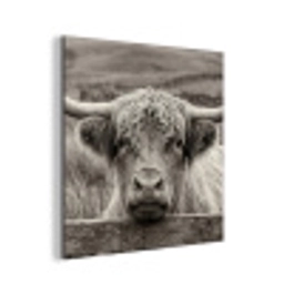 Schotse hooglander - Zwart - Wit - Hout aluminium wit klein -3d
