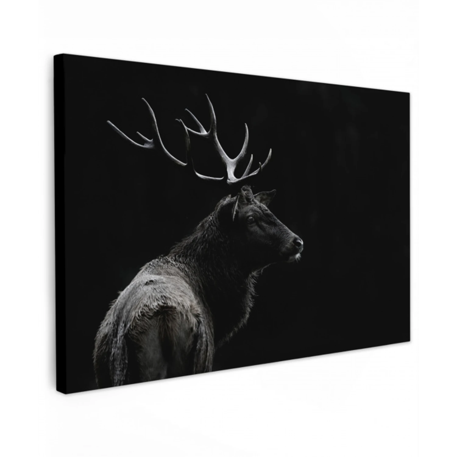 Hert - Zwart - Portret - Gewei - Dieren canvas 2cm klein -z3d