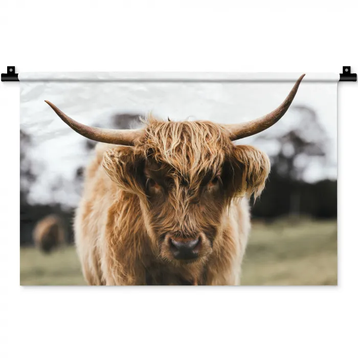 Schotse Hooglander -  Koe - Gras - Dieren - Natuur Wandkleed katoen klein -zz3d