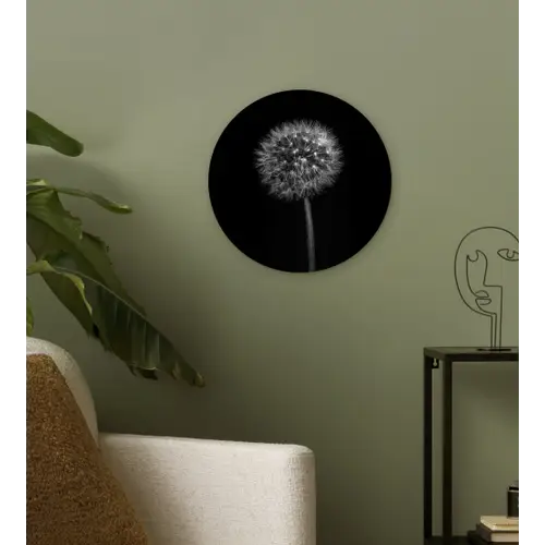 Paardenbloem - Zwart - Bloemen - Botanisch Wandcirkel kunststof plaat 5mm dik klein -sfeer3