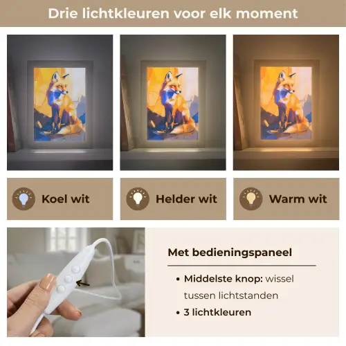 Vos - Oranje - Vormen - Abstract Light Box met kabel (Tafellamp) klein -USP_lichtkleurNL