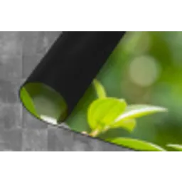 Kolibrie - Bloem - Natuur - Groen Keukenloper - keukenmat middel -closeup