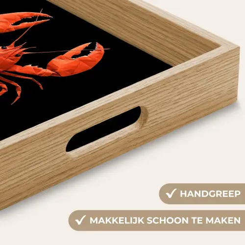 Kreeft - Papier - Origami papier - Rood Dienblad Rechthoek middel -USP_HandgreepNL