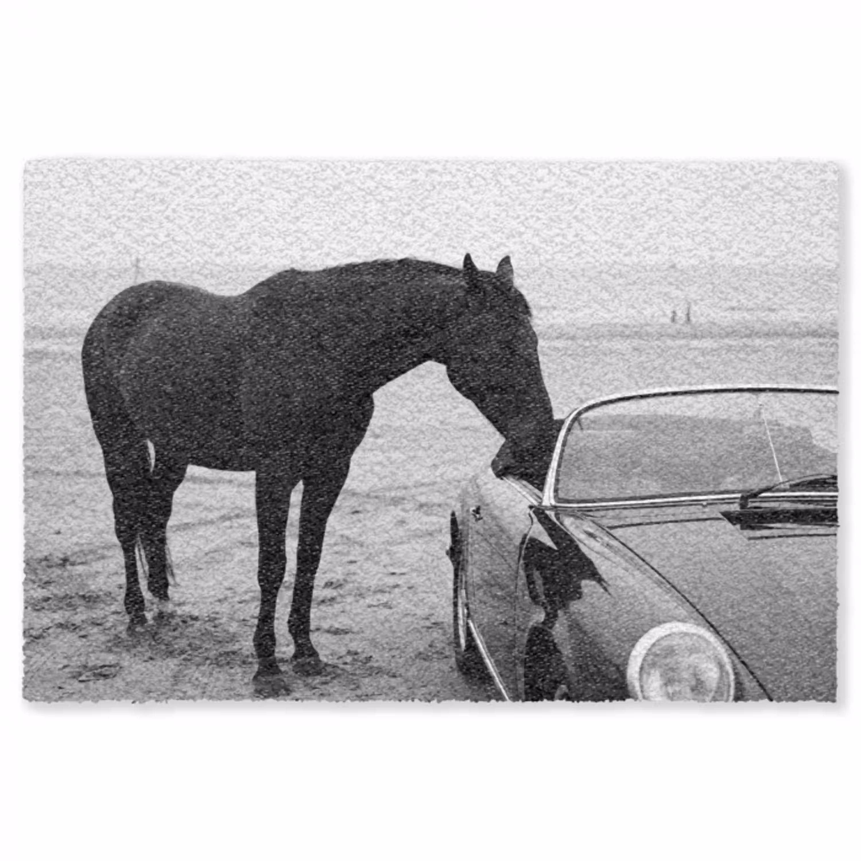 Paard - Auto - Zwart - Wit Vloerkleed Rechthoek klein -3d