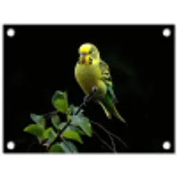 Parkiet - Tak - Bladeren - Geel tuinposter los doek klein -3d