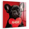 Amor - Hond  - Hartje - Rood plexiglas 5mm klein -zzzproduct_nieuw
