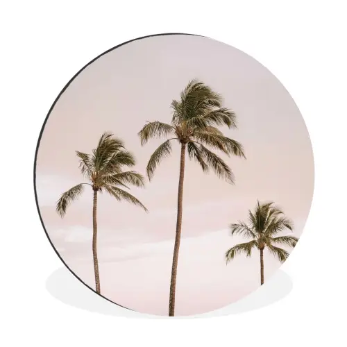 Palmbomen - Zonsondergang - Roze Wandcirkel aluminium klein -3d