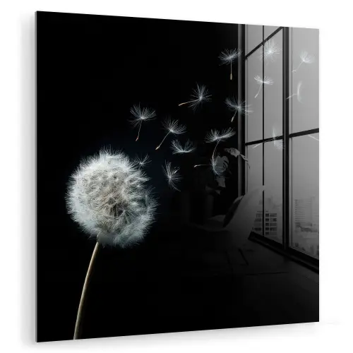 Paardenbloem - Zwart - Natuur plexiglas 5mm klein -zzzproduct_nieuw