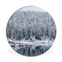 Bos - Reflectie - Meer - Winter - Serene Wandcirkel aluminium klein -3d