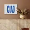 Ciao - Blauw - Stippen PET vilt klein -sfeer4
