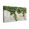 Klimop - Muur - Groen Tuinposter op houten frame 2 cm dik xxl -3d