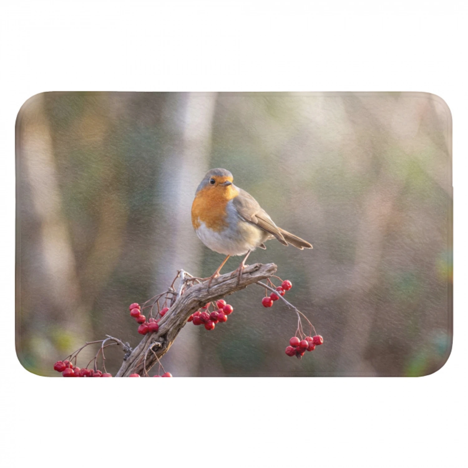 Roodborst - Tak - Bessen - Natuur Badmat klein -3d