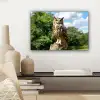 Uil - Boomstronk - Bos - Lucht canvas 2cm klein -sfeer6
