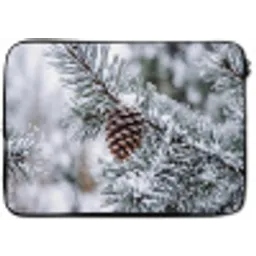 Dennenappel - Tak - Sneeuw - Winter - Sfeervol laptophoes neopreen klein -zkaufland3dotto