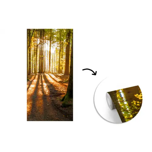 Zon - Bomen - Bos - Landschap fotobehang vinyl groot -3d
