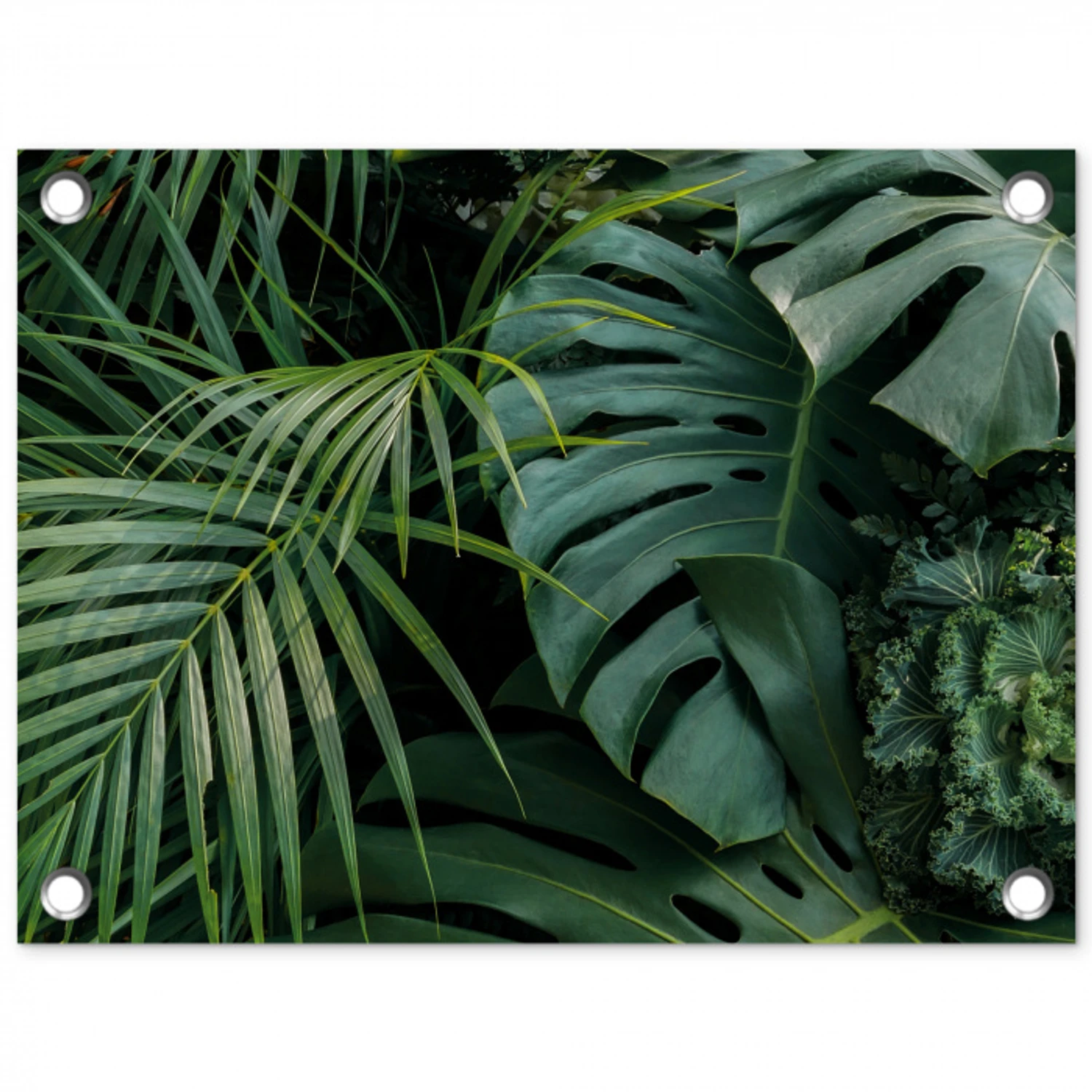 Tropische Bladeren tuinposter los doek klein -3d