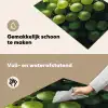 Druiven - Tros - Groen Inductie beschemer met haakjes klein -ky-schoon-nl