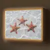 Zeesterren - Water - Helder Light Box met batterij (Wandlamp) middel -z3d_website