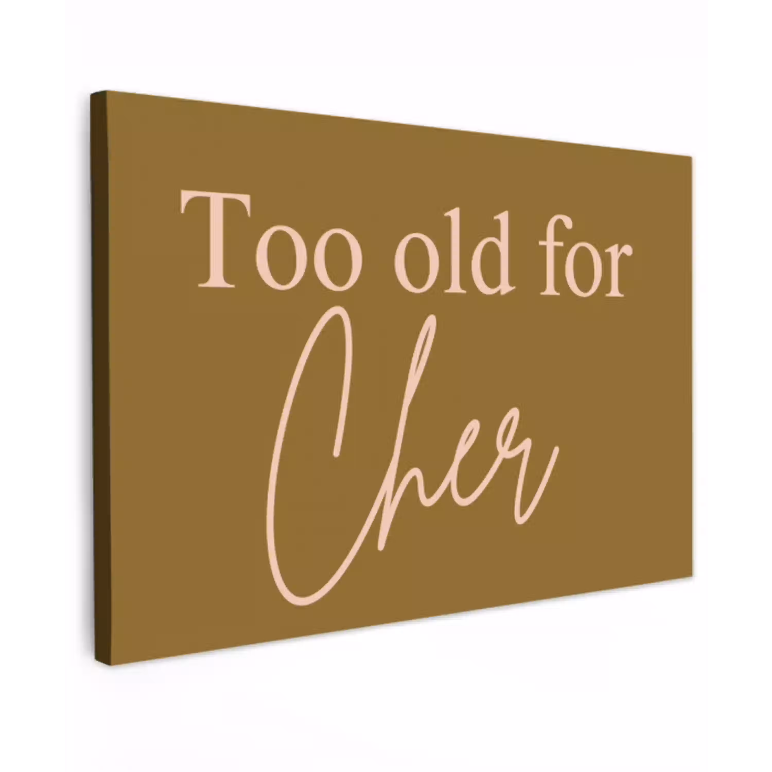 Groen - Too old for cher - Roze Tuinposter op houten frame 2 cm dik klein -3d