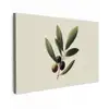 Olijftak - Donkergroen - Olijven canvas 2cm klein -z3d
