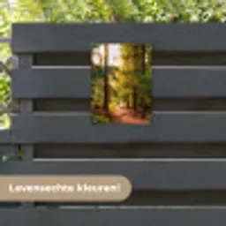 Mossig bospad tuinposter los doek klein -sfeer3