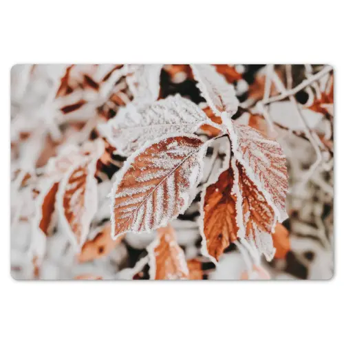 Bladeren - IJs - Winter - Natuur Placemat vinyl groot -zzsfeer1_Kitchenyeah-website