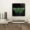 Mot - Levendig - Groen plexiglas 5mm klein -sfeer1