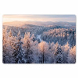 Bos - Bergen - Goud - Winter - Warm Placemat vinyl groot -zzsfeer1_Kitchenyeah-website