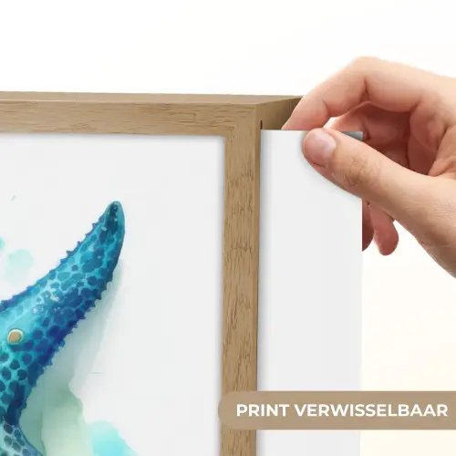 Zeester - Blauw - Spetters Light Box met batterij (Wandlamp kind) middel -USP_websiteprintNL