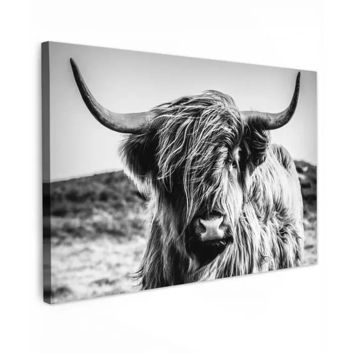 Schotse hooglander - Natuur - Koe - Zwart - Wit Tuinposter op houten frame 2 cm dik klein -3d