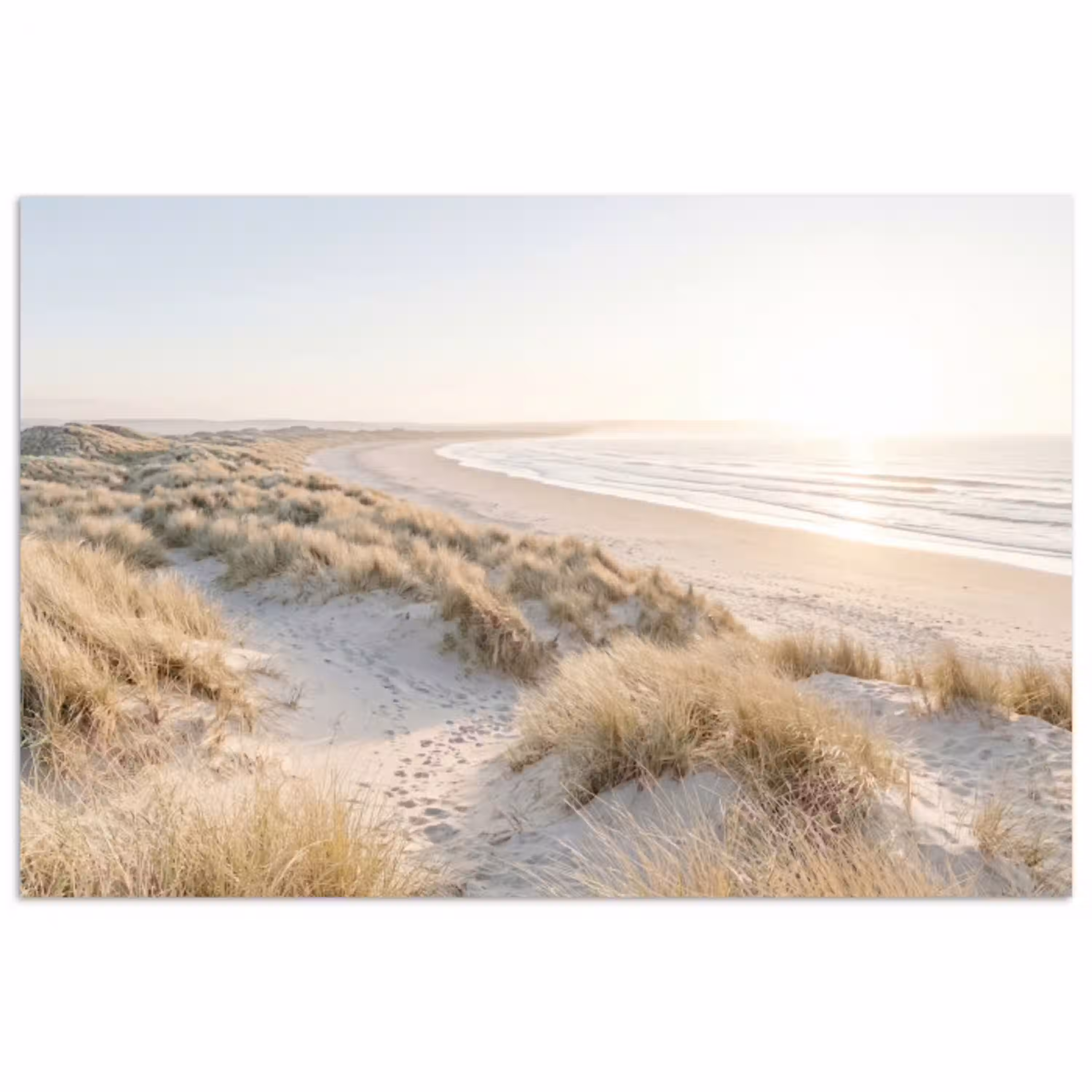 Duinen - Strand - Beige poster papier klein -3d