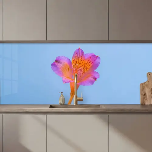 Bloem - Detail - Kleurrijk keuken achterwand 2 middel zz_3dshopping