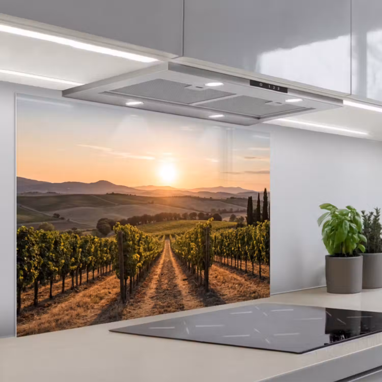 Spritzschutz Küche - Weinberg - Sonnenuntergang - Landschaft