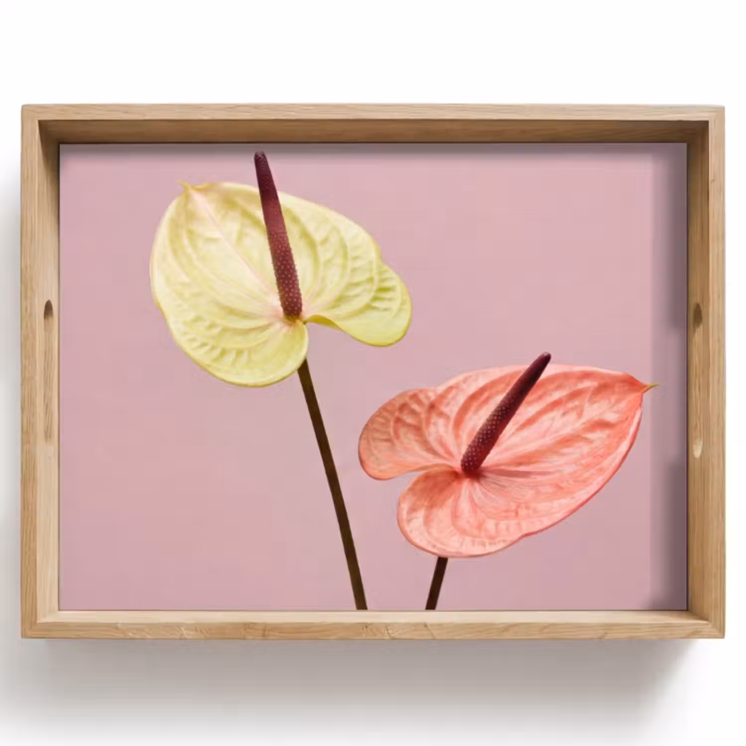 Dienblad - Bloemen - Anthuriums - Geel - Roze