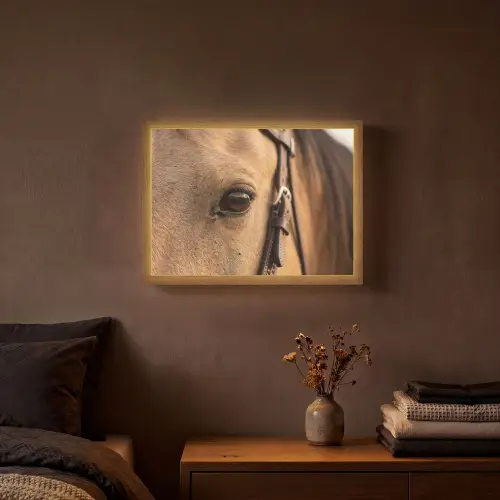 Paard - Oog - Bruin Light Box met batterij (Wandlamp) middel -sfeer4