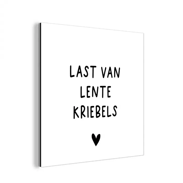 Last van lentekriebels - Spreuken - Quotes aluminium wit klein -3d
