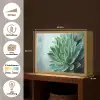 Vetplant - Bladeren - Groen - Wazig Light Box met batterij (Wandlamp) middel -USP_websiteoverzichtNL