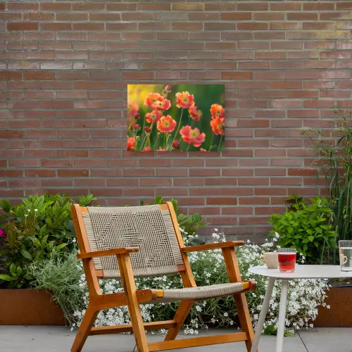 Bloemenveld - Zonnestralen - Oranje Tuinposter op houten frame 2 cm dik klein -sfeer3