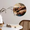 Drumstokken - Olieverf - Man Wandcirkel kunststof plaat 5mm dik klein -sfeer4