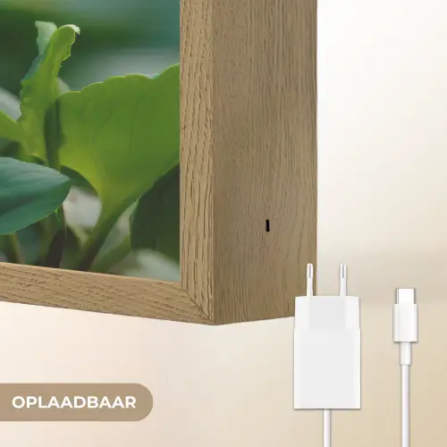 Viooltjes - Paars - Bloem - Bladeren Light Box met batterij (Wandlamp) middel -USP_websiteoplaadbaarNL