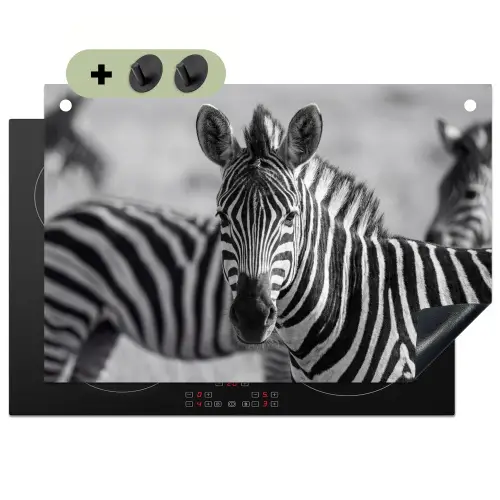 Zebra's - Zwart - Wit Inductie beschemer met haakjes klein -3d