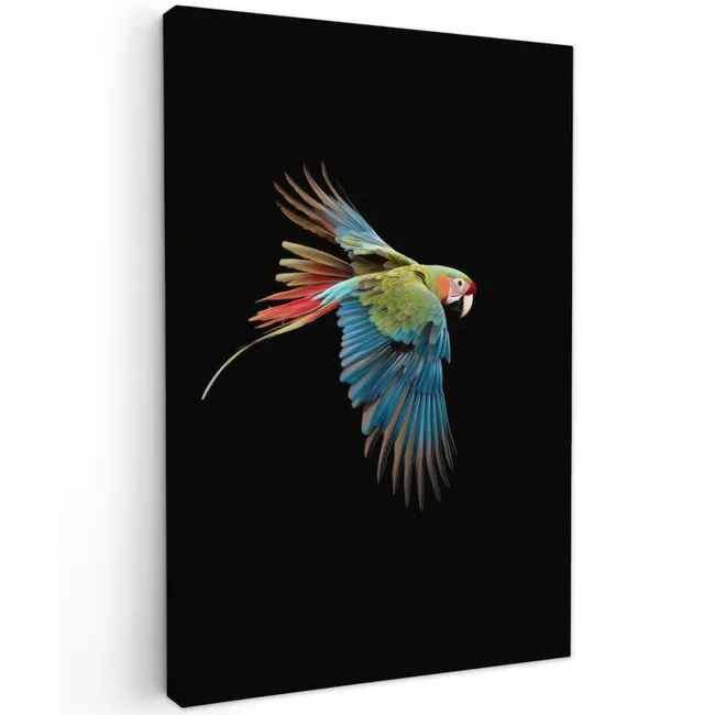 Papegaai - Kleurrijk - Vleugels - Sierlijk Tuinposter op houten frame 2 cm dik klein -3d