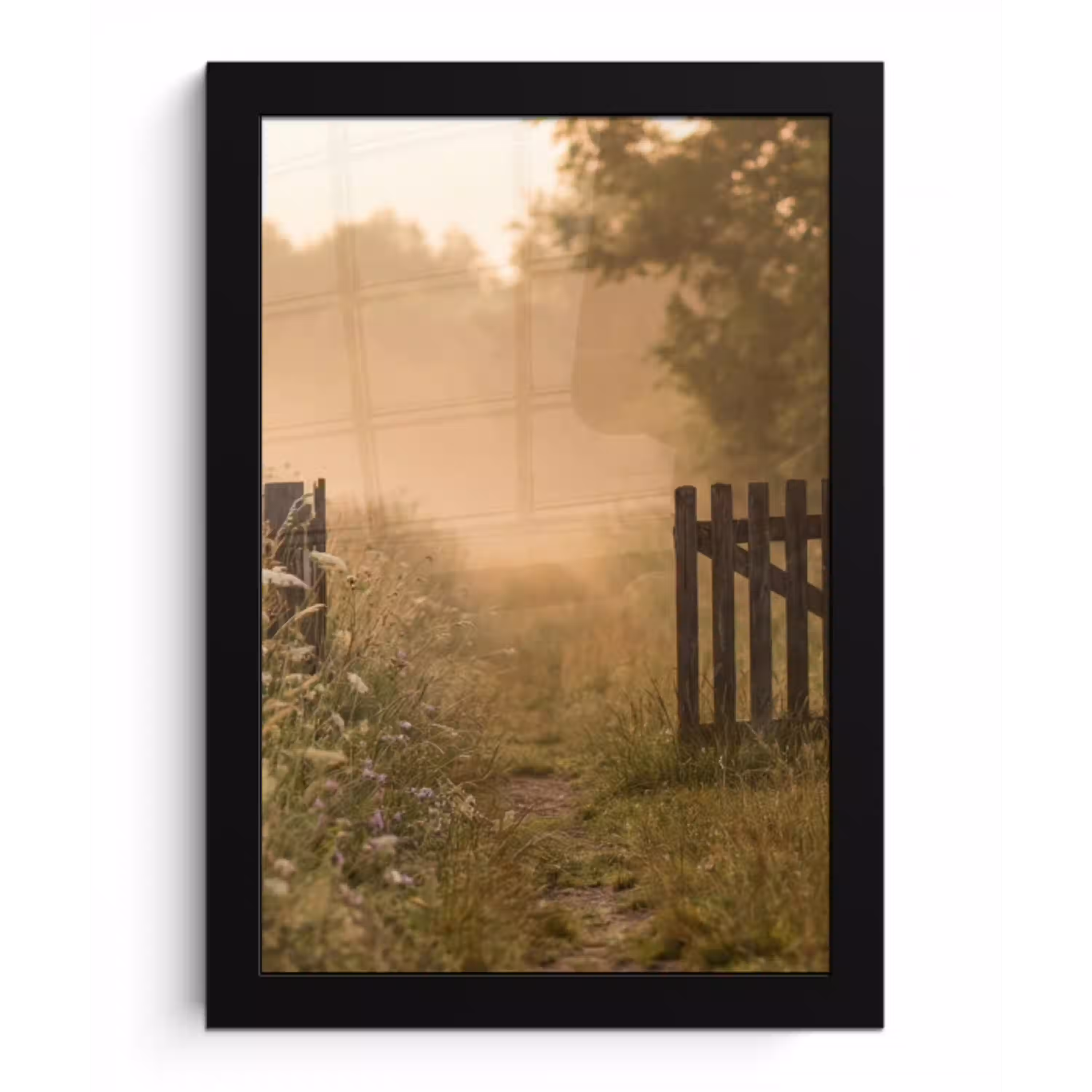 Hek - Natuur - Mist - Veld fotolijst zwart zonder passe partout klein -3d
