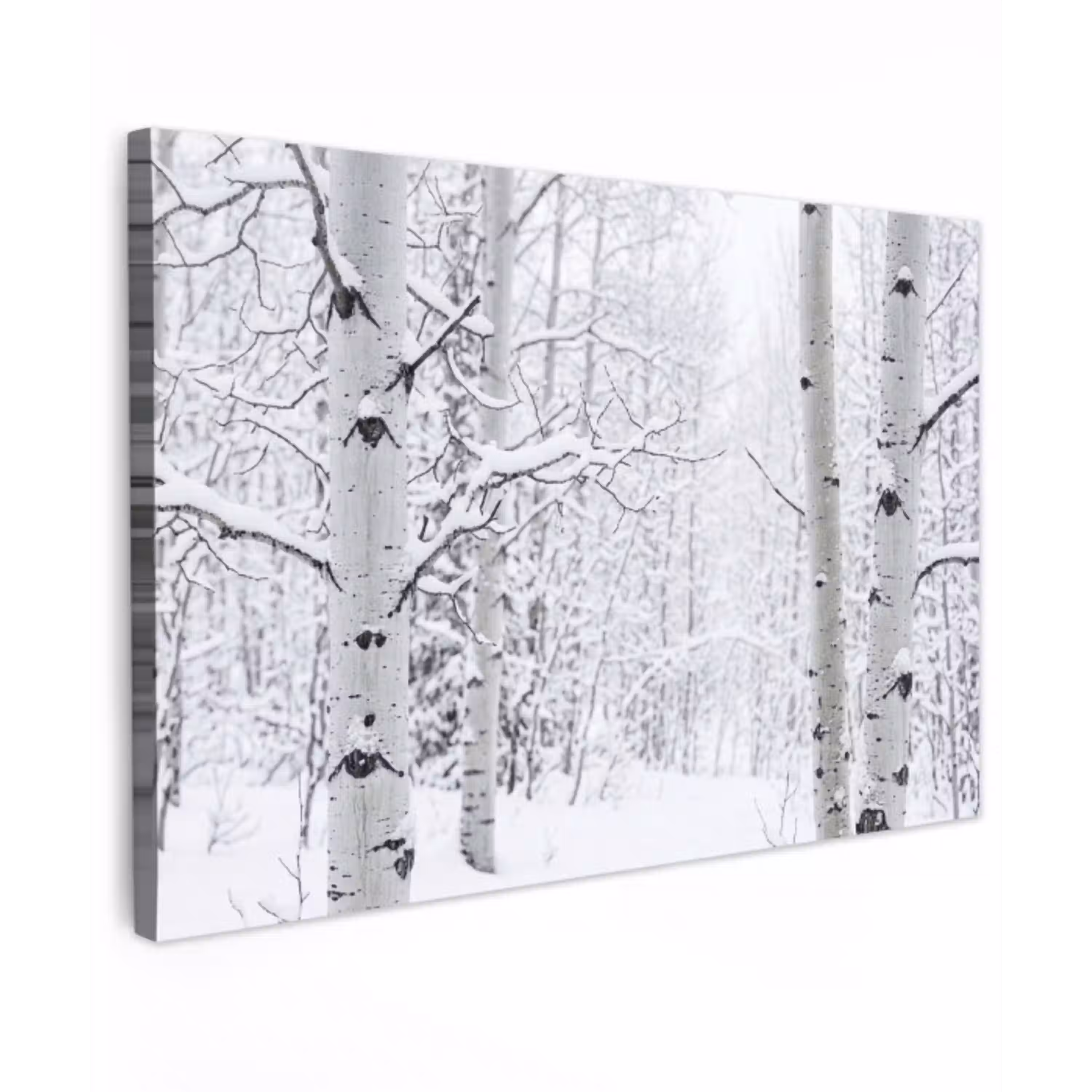 Berkenbomen - Sneeuw - Winter - Bos - Wit canvas 2cm klein -z3d