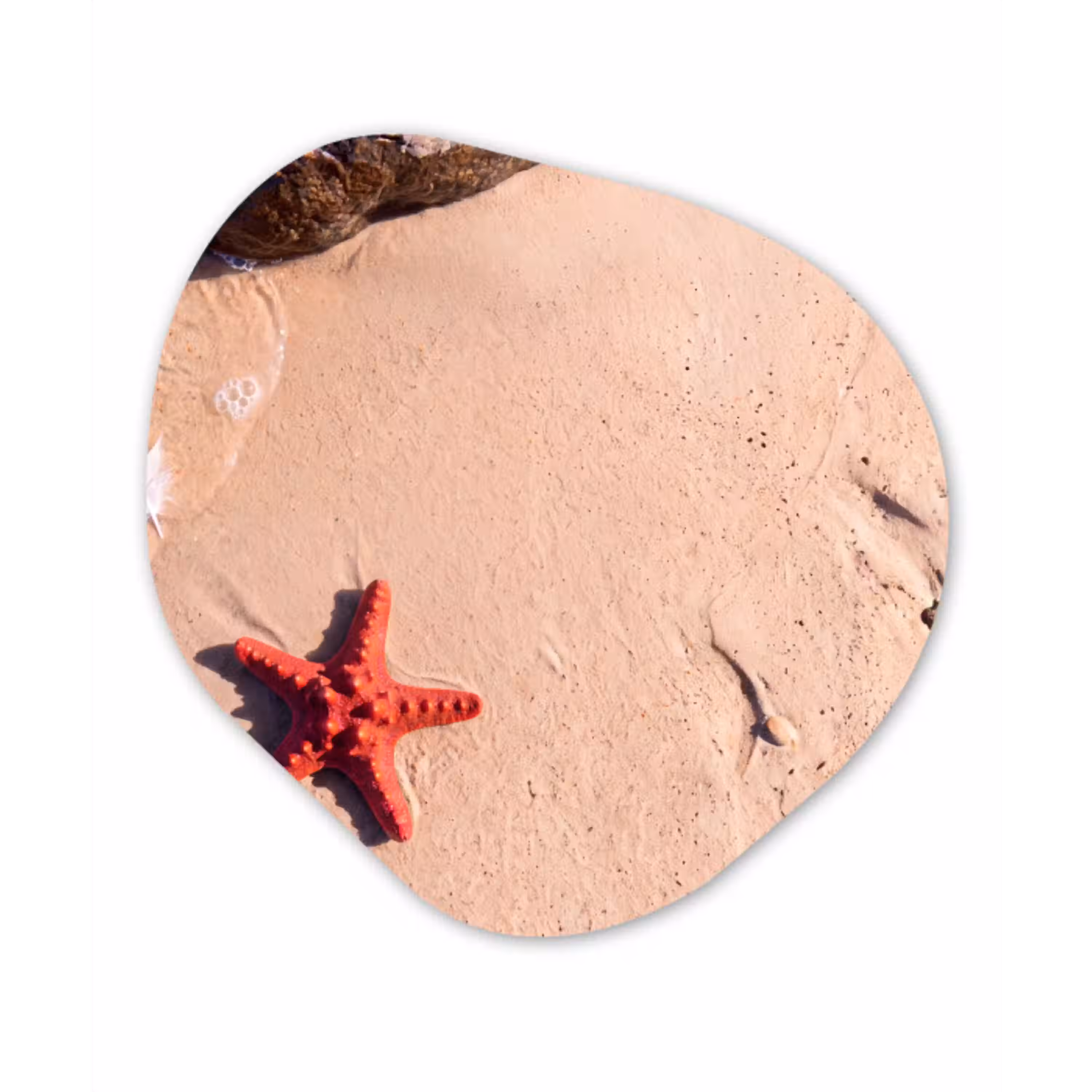 Dieren - Strand - Zee - Natuur - Rood Wandcirkel Organisch Forex 3mm klein -3d