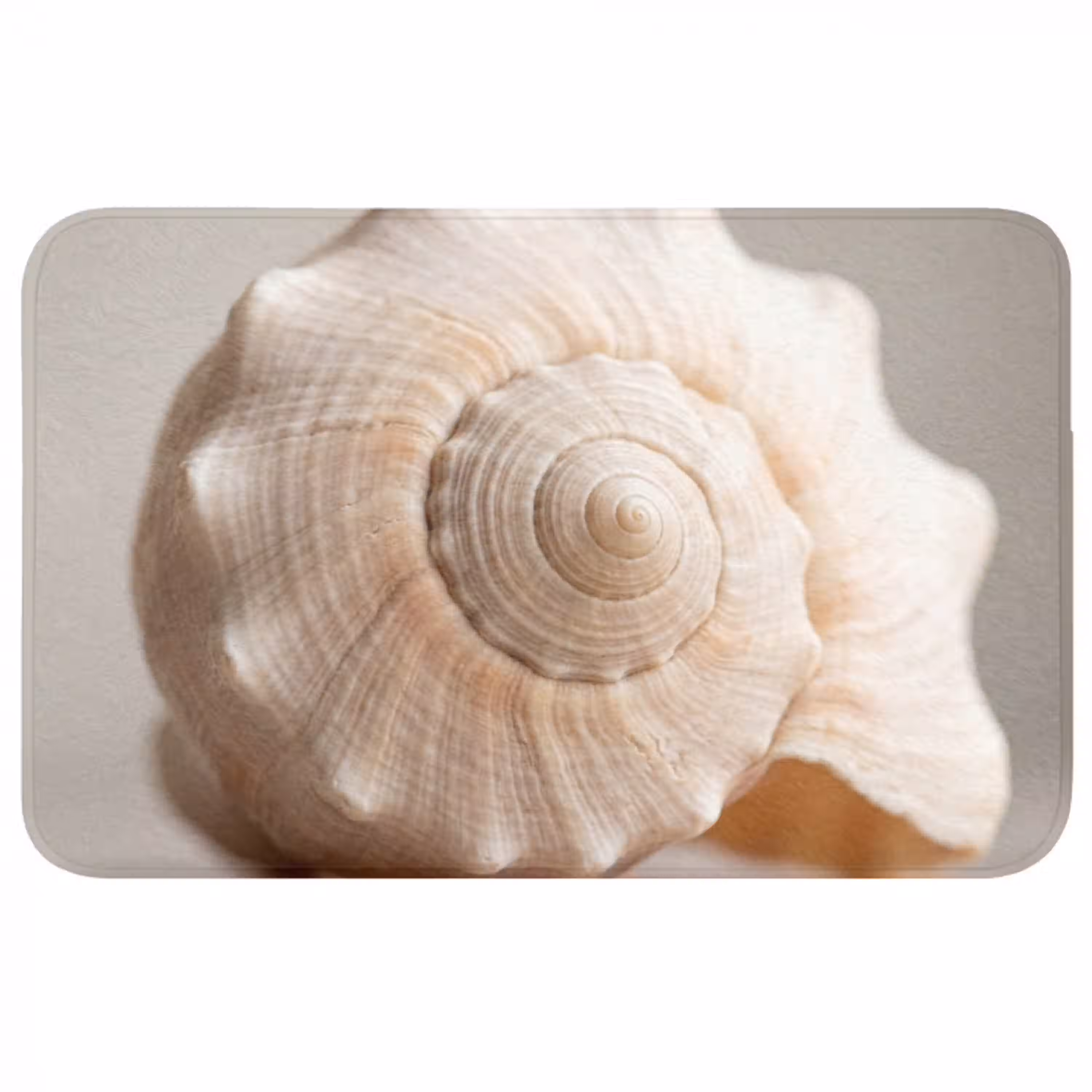 Schelp - Detail - Beige WCmat middel -3d